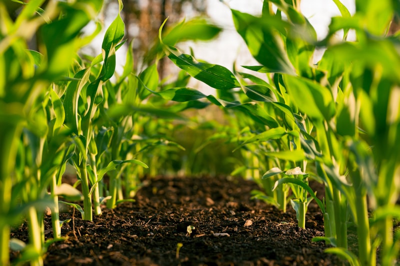 Agriculture & Landscaping Industry